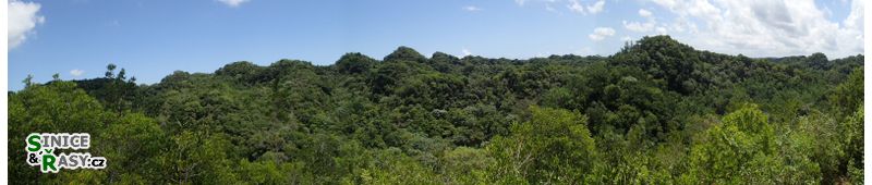 3-guajataca-state-forest-puerto-rico-2013-046