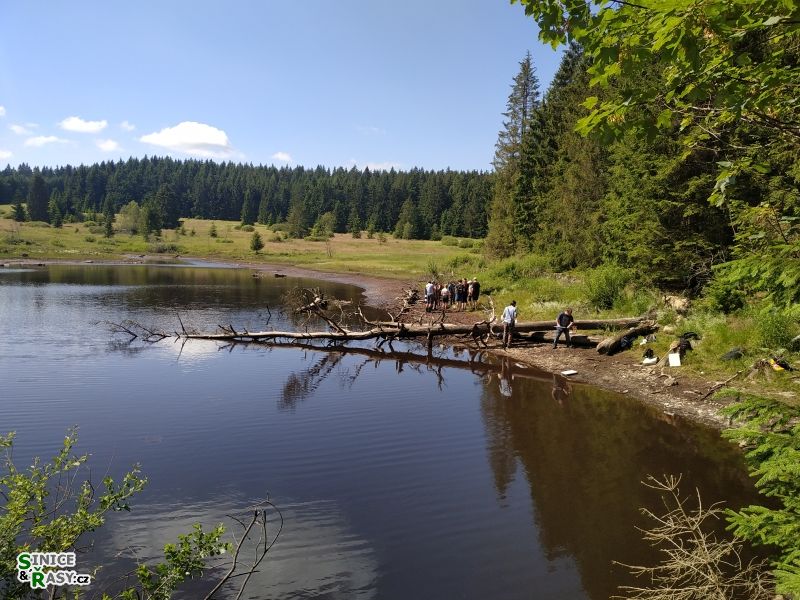 půvaby šumavské